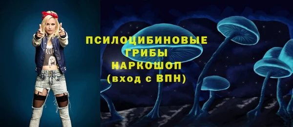 ECSTASY Абинск