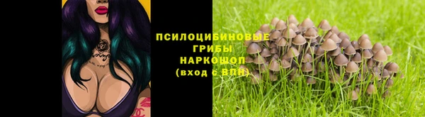 ECSTASY Абинск