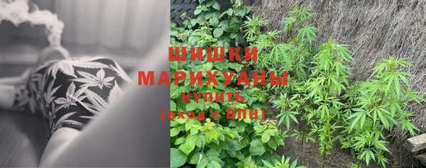 марихуана Абаза