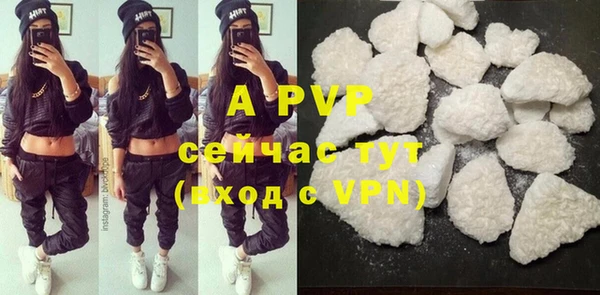 хмурый Михайловск
