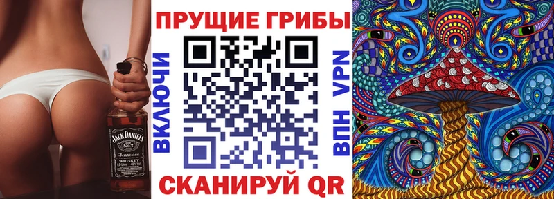 сколько стоит  Нижневартовск  Галлюциногенные грибы Psilocybe 